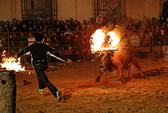 Bull festival in the Medieval village of Medinaceli